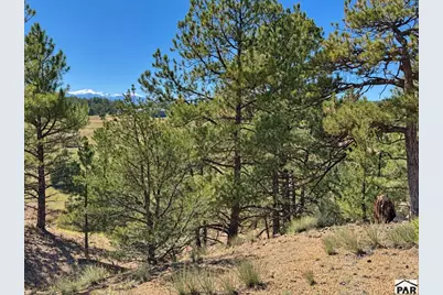 103 Cheyenne Ct, Cotopaxi, CO 81223 - Photo 17