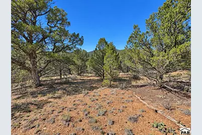 103 Cheyenne Ct, Cotopaxi, CO 81223 - Photo 7