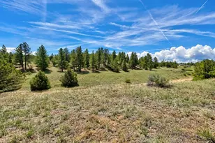 103 Cheyenne Ct, Cotopaxi, CO 81223 - Photo 1