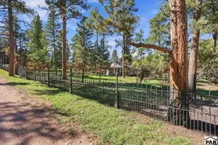 8814 Curtis Rd, Beulah, CO 81023 - Photo 3