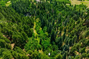 9685 Short Cut Rd, Rye, CO 81069 - Photo 23