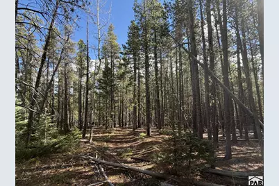 3417 No Site Address, Fort Garland, CO 81133 - Photo 3