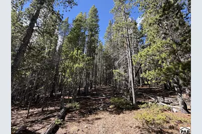 3417 No Site Address, Fort Garland, CO 81133 - Photo 7