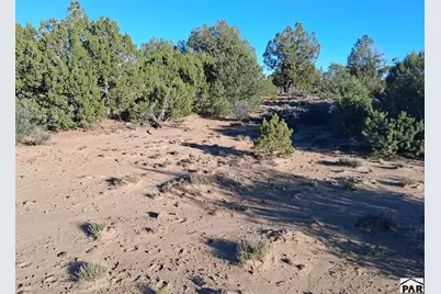 Tbd Puesta Del Sal, Walsenburg, CO 81089 - Photo 5