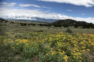971 Co Rd 541, Gardner, CO 81040 - Photo 25