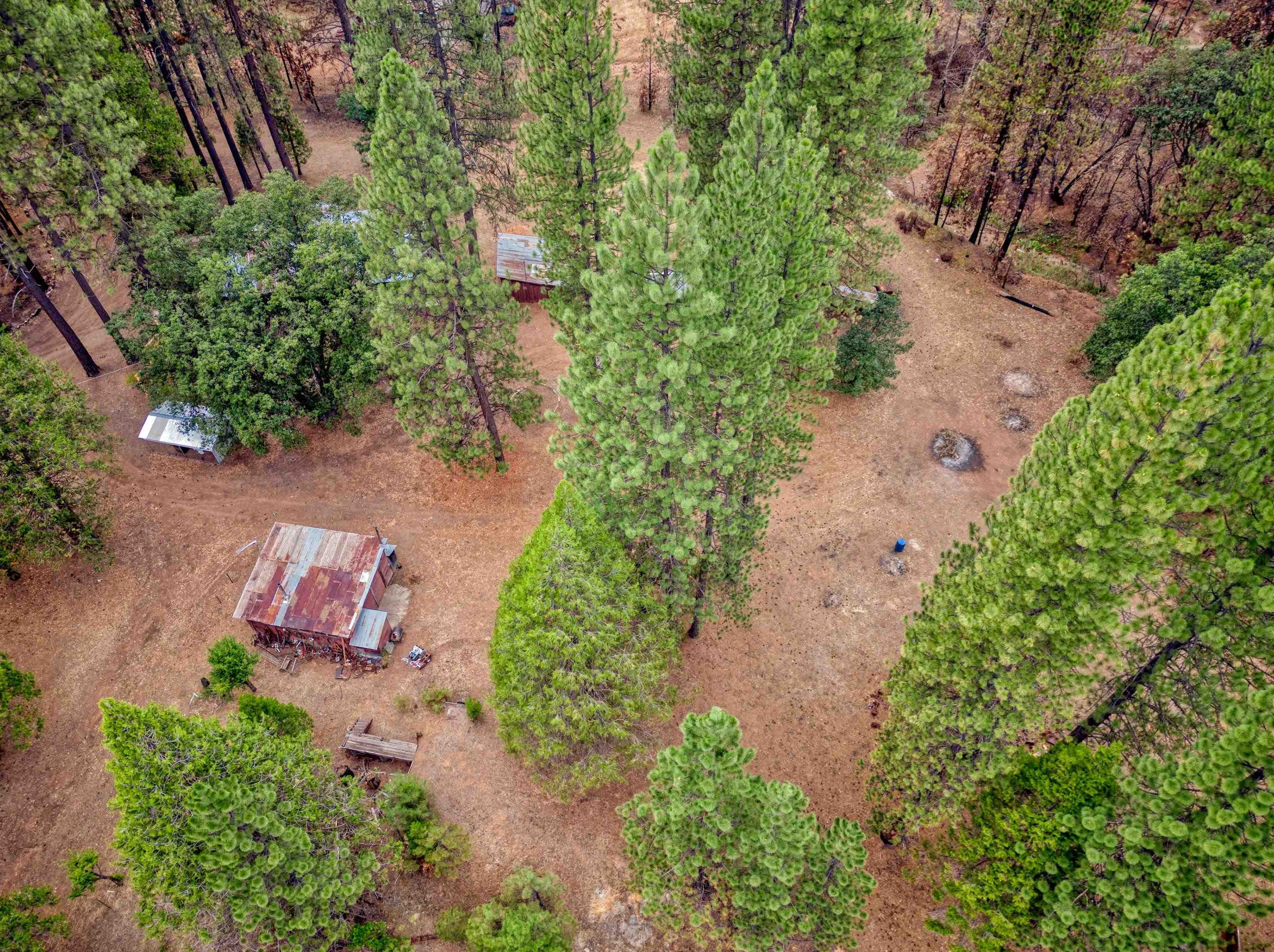 229 Pecks Valley Rd, Almanor CA  95947-9739 exterior