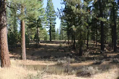 221 Cayden Drive, Clio, CA 96106 - Photo 1