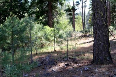 86 Eureka Springs Drive, Graeagle, CA 96103 - Photo 1