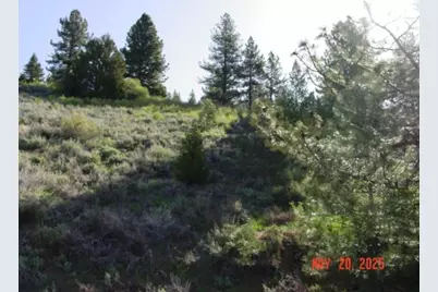 1692 Valley View Drive, Portola, CA 96122 - Photo 5