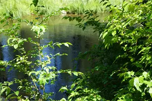 187 Riverview Ln, Twain, CA 95984 - Photo 23