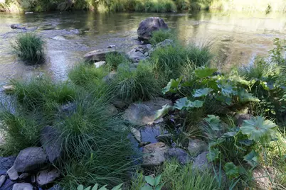 187 Riverview Lane, Twain, CA 95984 - Photo 27