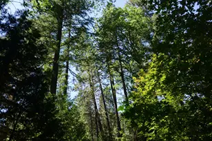 187 Riverview Ln, Twain, CA 95984 - Photo 17