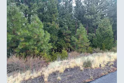 1348 Red Sky, Portola, CA 96122 - Photo 5