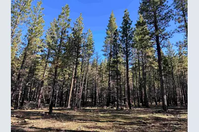 6049 Genesee Road, Genesee, CA 95983 - Photo 3