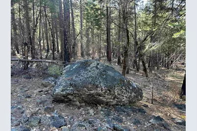 6049 Genesee Road, Genesee, CA 95983 - Photo 9