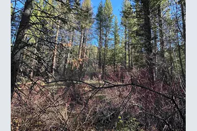 6049 Genesee Road, Genesee, CA 95983 - Photo 5