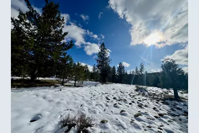 502 Great Spirit, Portola, CA 96122 - Photo 3