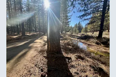 71849 Carrie Court Trail, Delleker, CA 96122 - Photo 5