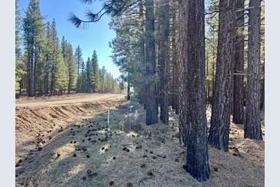 71849 Carrie Court Trail, Delleker, CA 96122 - Photo 11