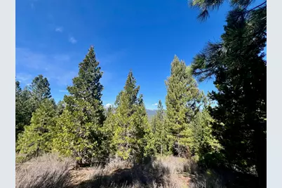 1040 Startop, Portola, CA 96122 - Photo 1