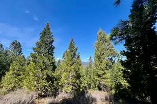 1040 Star Top, Portola, CA 96122 - Photo 1