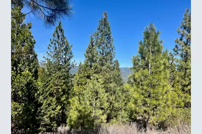 1040 Startop, Portola, CA 96122 - Photo 3
