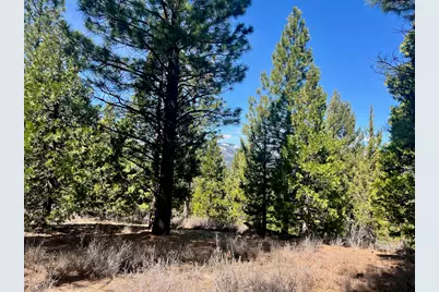 1040 Startop, Portola, CA 96122 - Photo 9