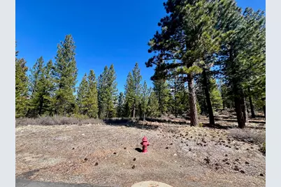 1040 Startop, Portola, CA 96122 - Photo 5