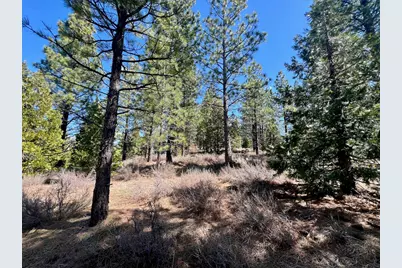 1040 Startop, Portola, CA 96122 - Photo 13