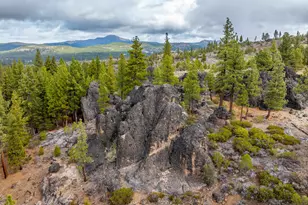 7780 Beckwourth Peak Rd, Portola, CA 96122 - Photo 31