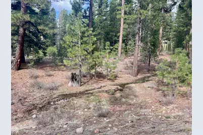 856 Prospector Drive, Clio, CA 96106 - Photo 17