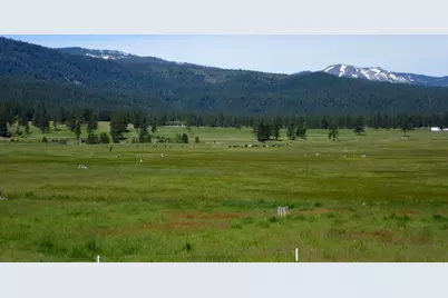 856 Prospector Drive, Clio, CA 96106 - Photo 39