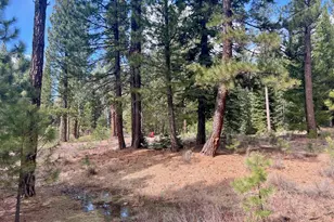 856 Prospector Dr, Clio, CA 96106 - Photo 1