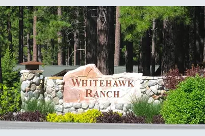 856 Prospector Drive, Clio, CA 96106 - Photo 19