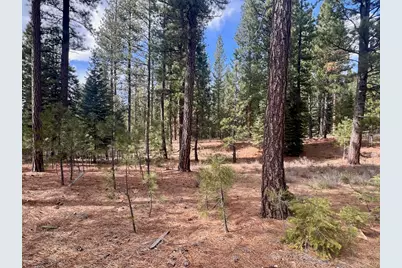856 Prospector Drive, Clio, CA 96106 - Photo 11
