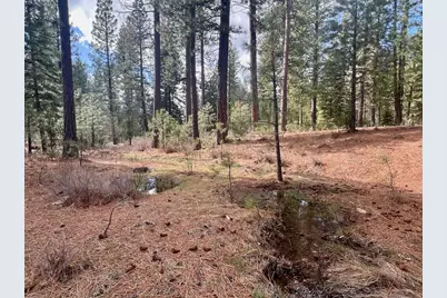 856 Prospector Drive, Clio, CA 96106 - Photo 15