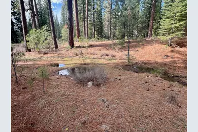856 Prospector Drive, Clio, CA 96106 - Photo 13