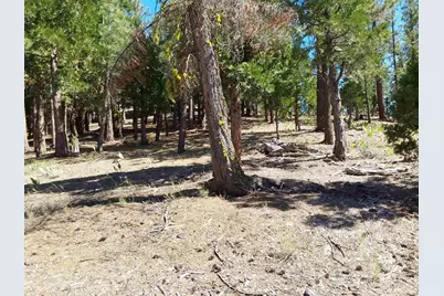 5028 Harvest Moon #18, Portola, CA 96122 - Photo 23