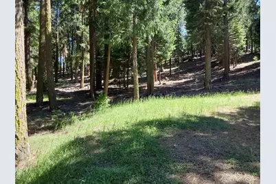 5028 Harvest Moon #18, Portola, CA 96122 - Photo 39