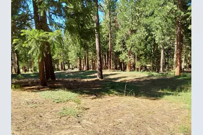 5028 Harvest Moon #18, Portola, CA 96122 - Photo 13