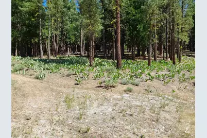 5028 Harvest Moon #18, Portola, CA 96122 - Photo 45