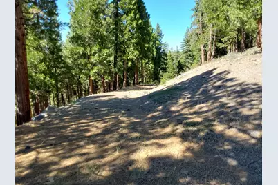 5028 Harvest Moon #18, Portola, CA 96122 - Photo 19