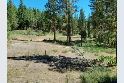 5028 Harvest Moon #18, Portola, CA 96122 - Photo 49