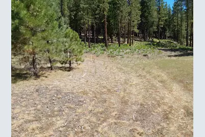 5028 Harvest Moon #18, Portola, CA 96122 - Photo 47