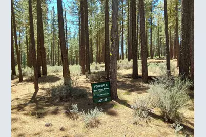 511 Deer Trail #1, Portola, CA 96122 - Photo 15