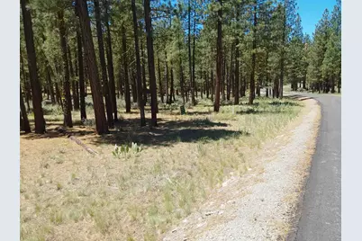 295 Deer Trail #1 P2, Portola, CA 96122 - Photo 23