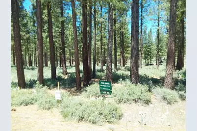 295 Deer Trail #1 P2, Portola, CA 96122 - Photo 3