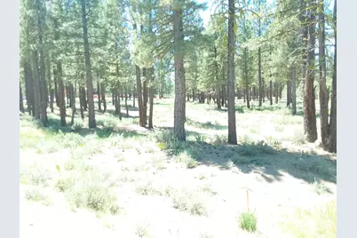 295 Deer Trail #1 P2, Portola, CA 96122 - Photo 9