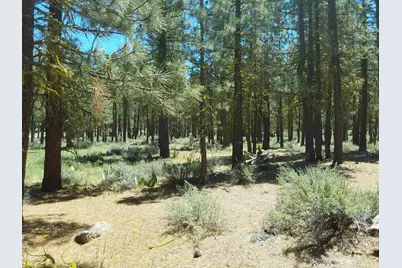 295 Deer Trail #1 P2, Portola, CA 96122 - Photo 11