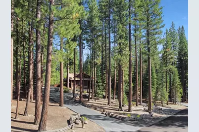 360 Quail View Circle, Clio, CA 96106 - Photo 3